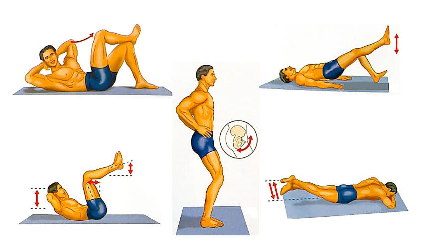 Penis improves training