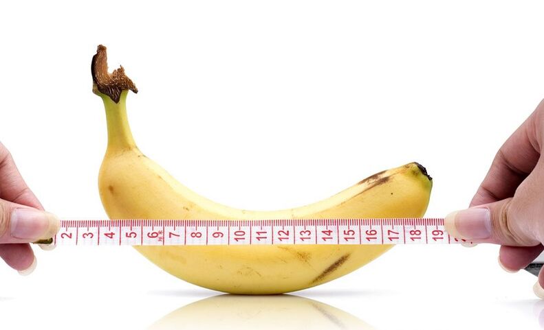 The influence of abstinence on penis length